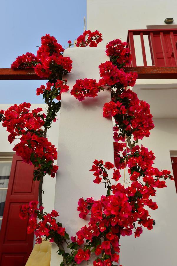 Seagull Rooms Galissas Bagian luar foto
